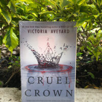 Cruel Crown (libro en inglés)